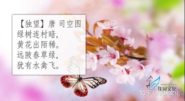 古诗中的春景总是别致生香《绿树黄花,蝶双飞》诗词加油站26
