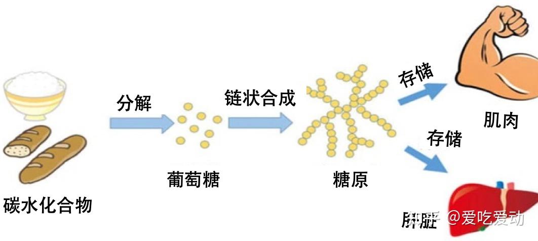 糖怎么来的过程图图片