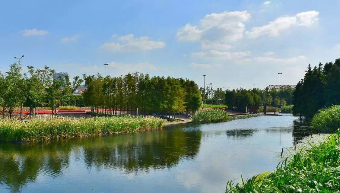 中央第二生态环保督察组向山东转办第三批群众信访件