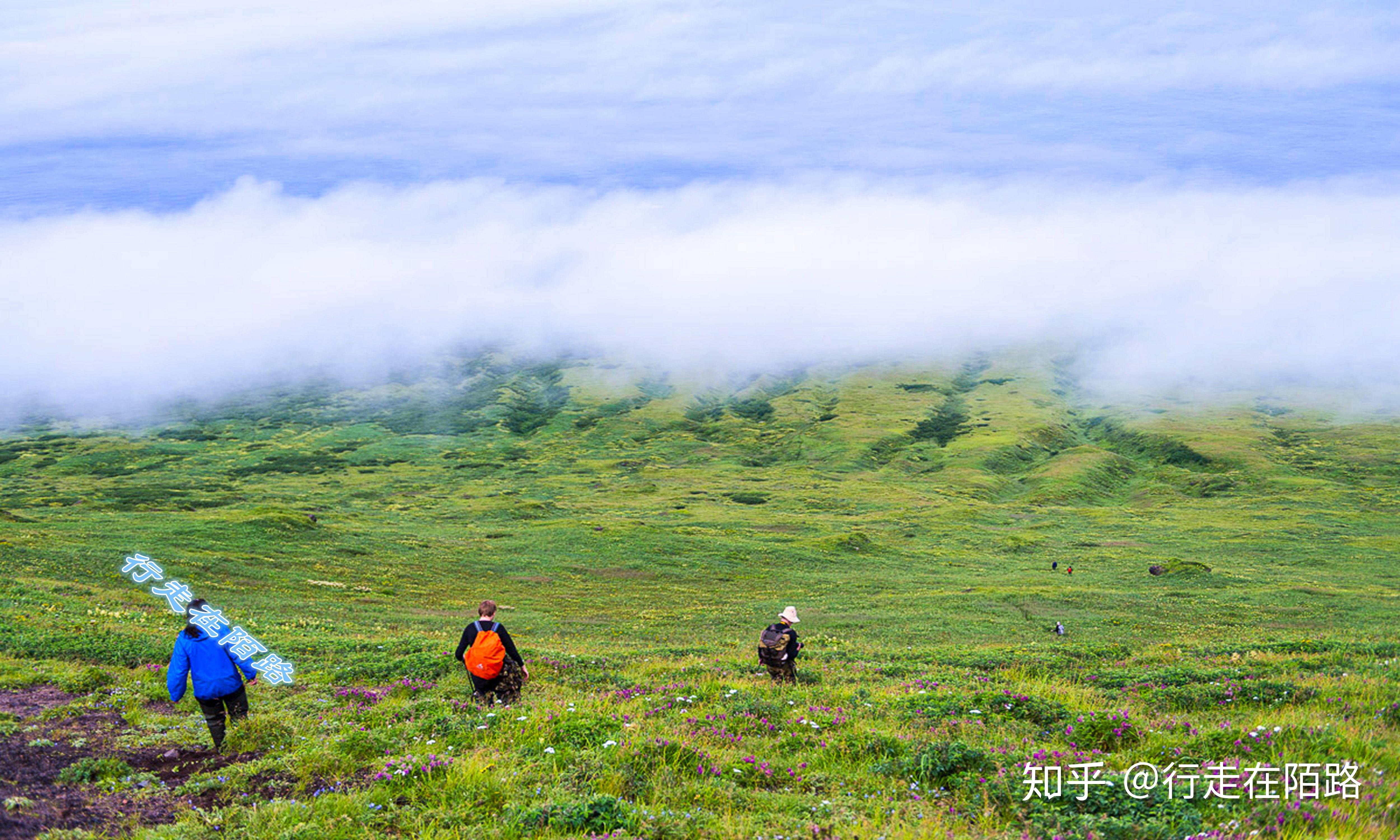 择捉岛:20座火山有8座是活的,岛上鱼子酱任吃温泉免费