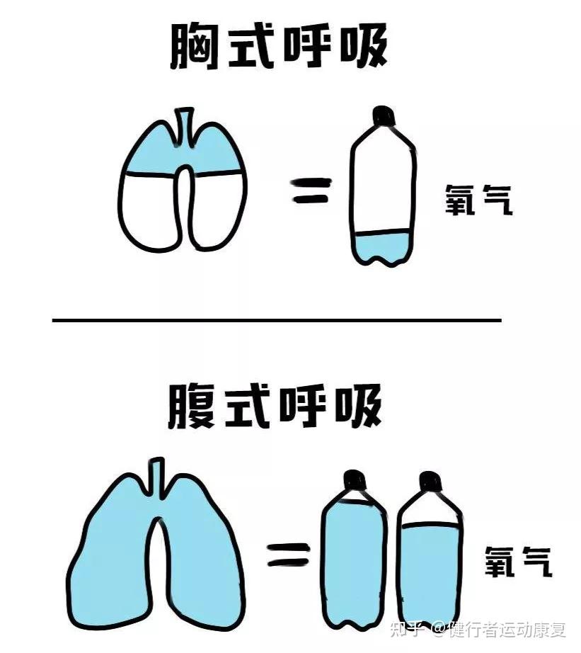 胸腹式联合呼吸法图解图片