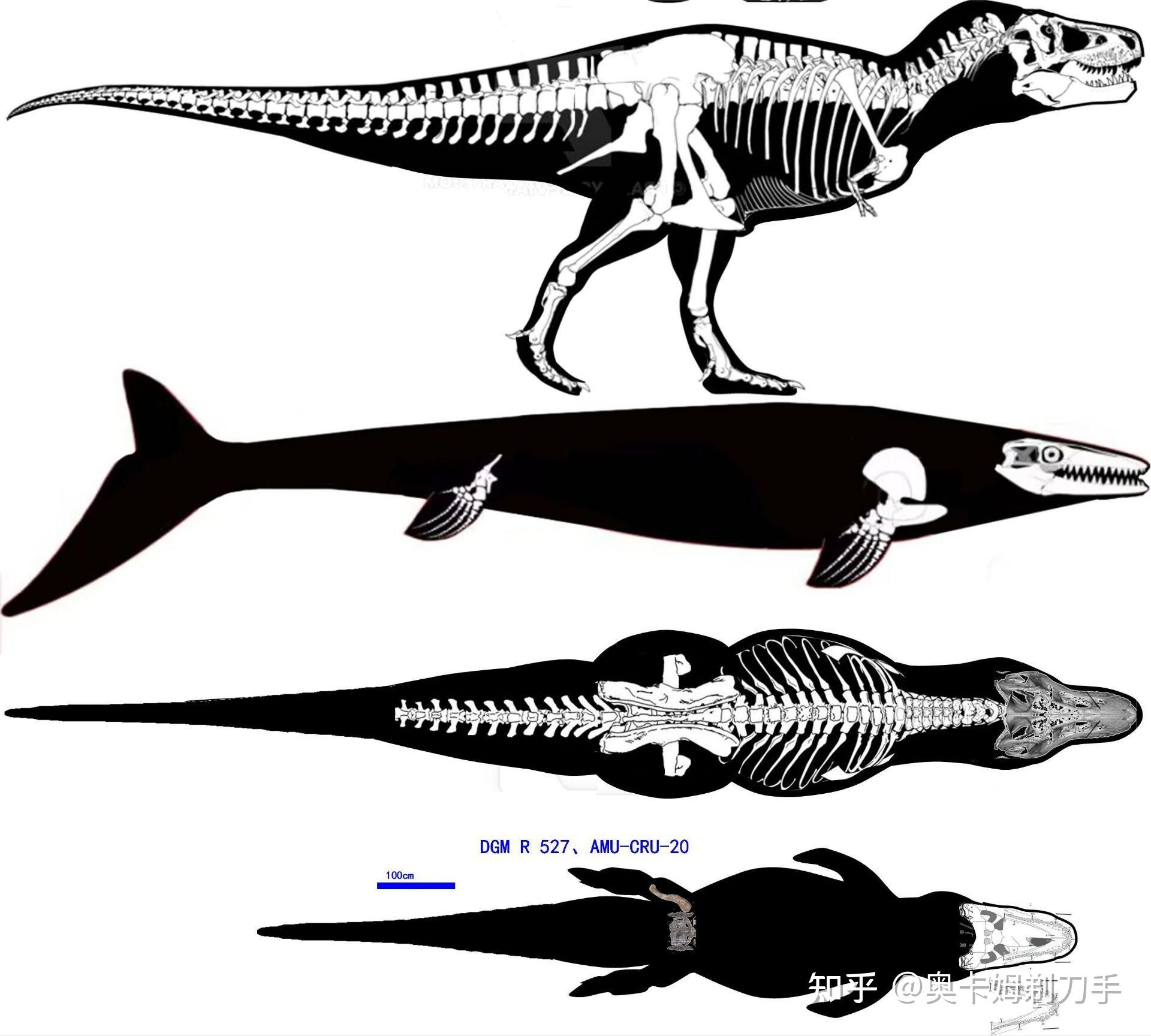沧龙真的能吃掉霸王龙吗?