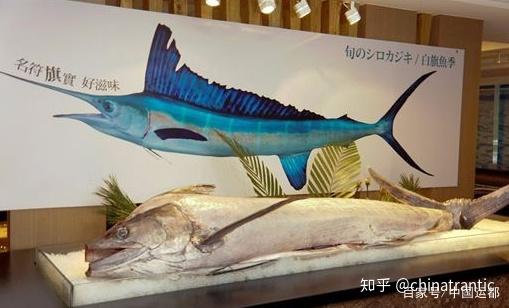 威海运都 鲜推荐 名符 旗 实的鱼 知乎 威海运都 鲜推荐 名符 旗 实的鱼 知乎
