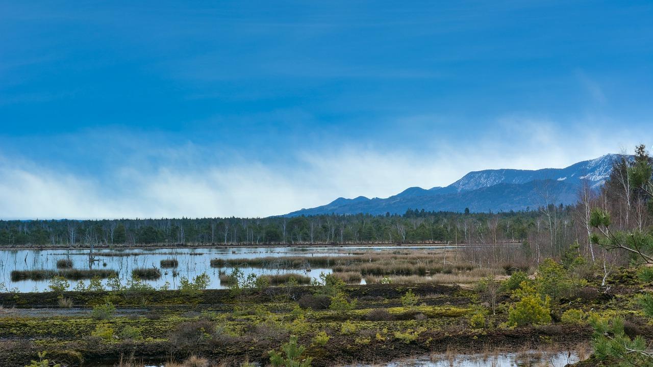 御水湾房子怎么样