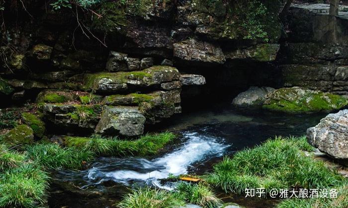 鄉野山林間潺潺流水,夏日清晨,房屋外的小溪流,樹枝上的蟬鳴鳥叫,奏成