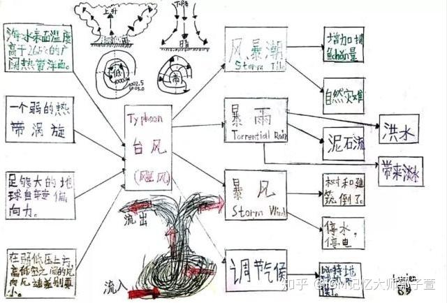 2.發散思維大腦思維激發聯想與創意,提高孩子大腦的理解力和解題能力.