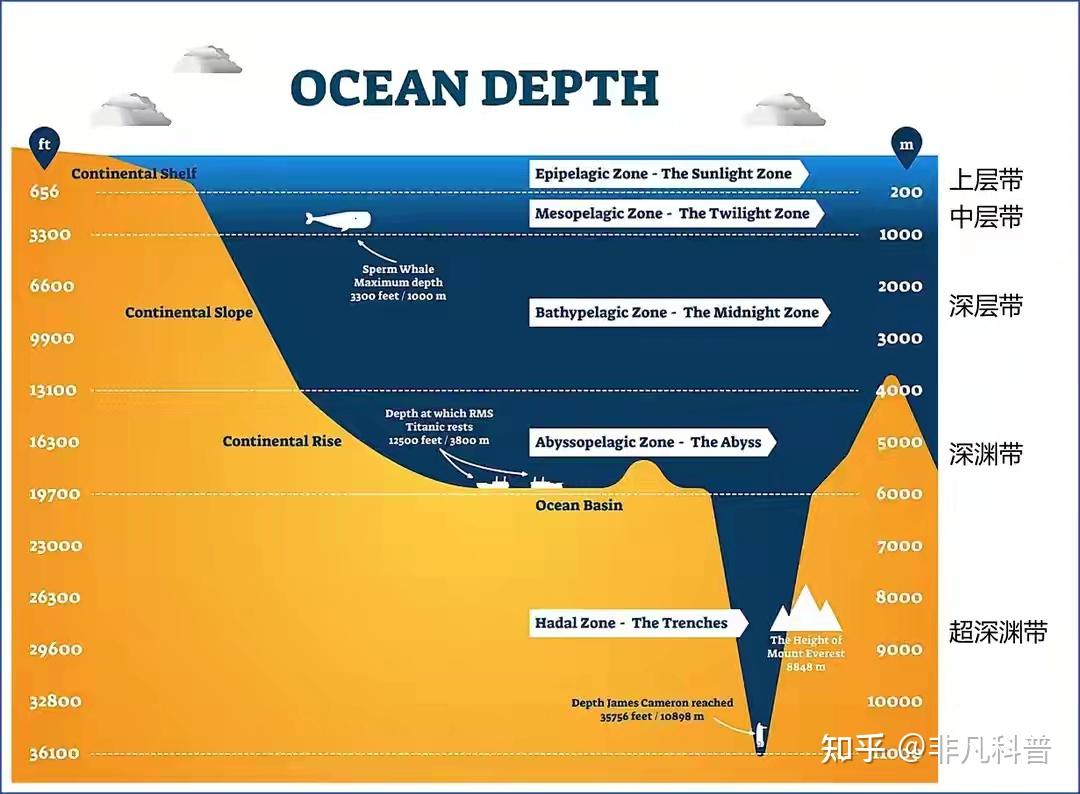 深海与浅海有何区别？ - 知乎
