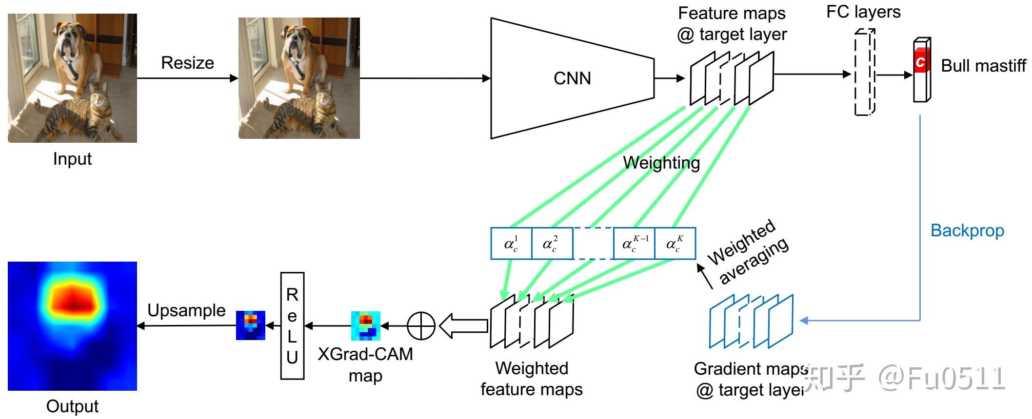 bmvc2020oralxgradcam一种基于axiom的cnn可视化方法已开源