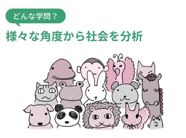 社会学带给你的不止“高级”审美趣味? 知乎