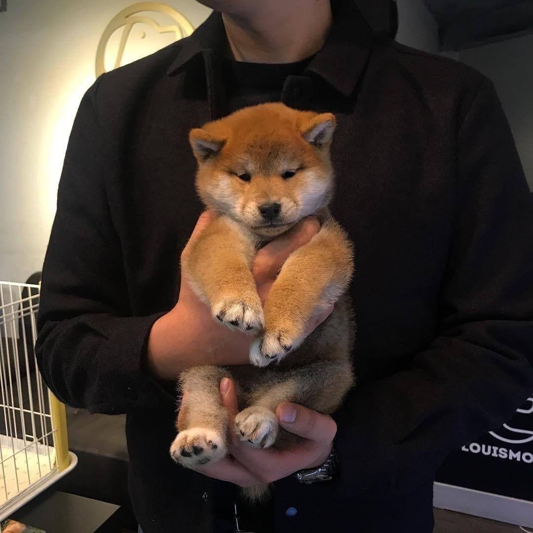 能推几个好看的男生头像吗? - 知乎