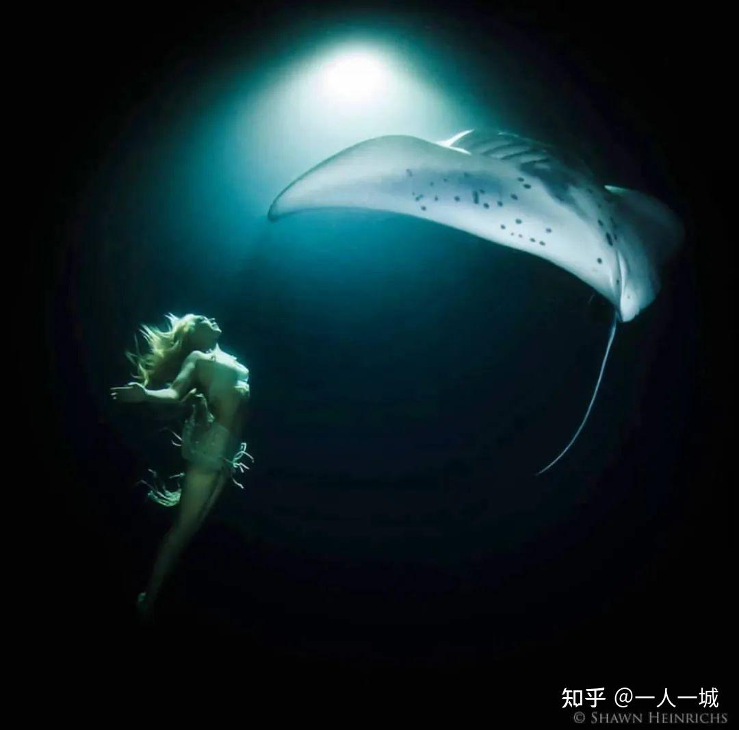 女海王日常曝光她用20年活成现实版美人鱼和鲸鱼共舞与鲨鱼合照守护了
