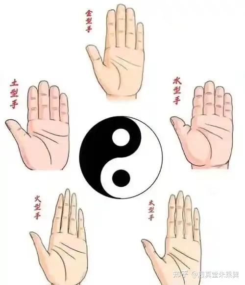 手相入门(二)掌型 - 知乎