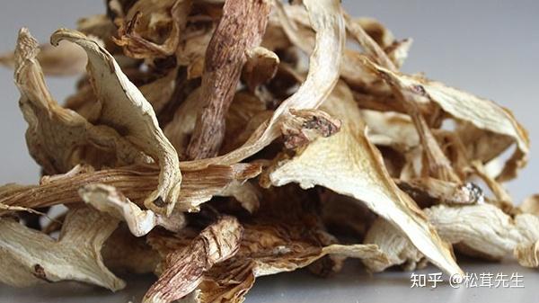 青杠菌(青冈菌)