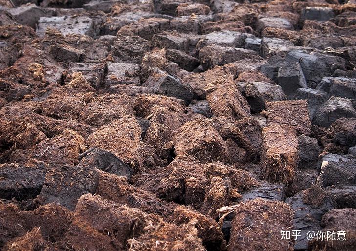 高原骑士——融合了威士忌所有经典特性 - 知乎