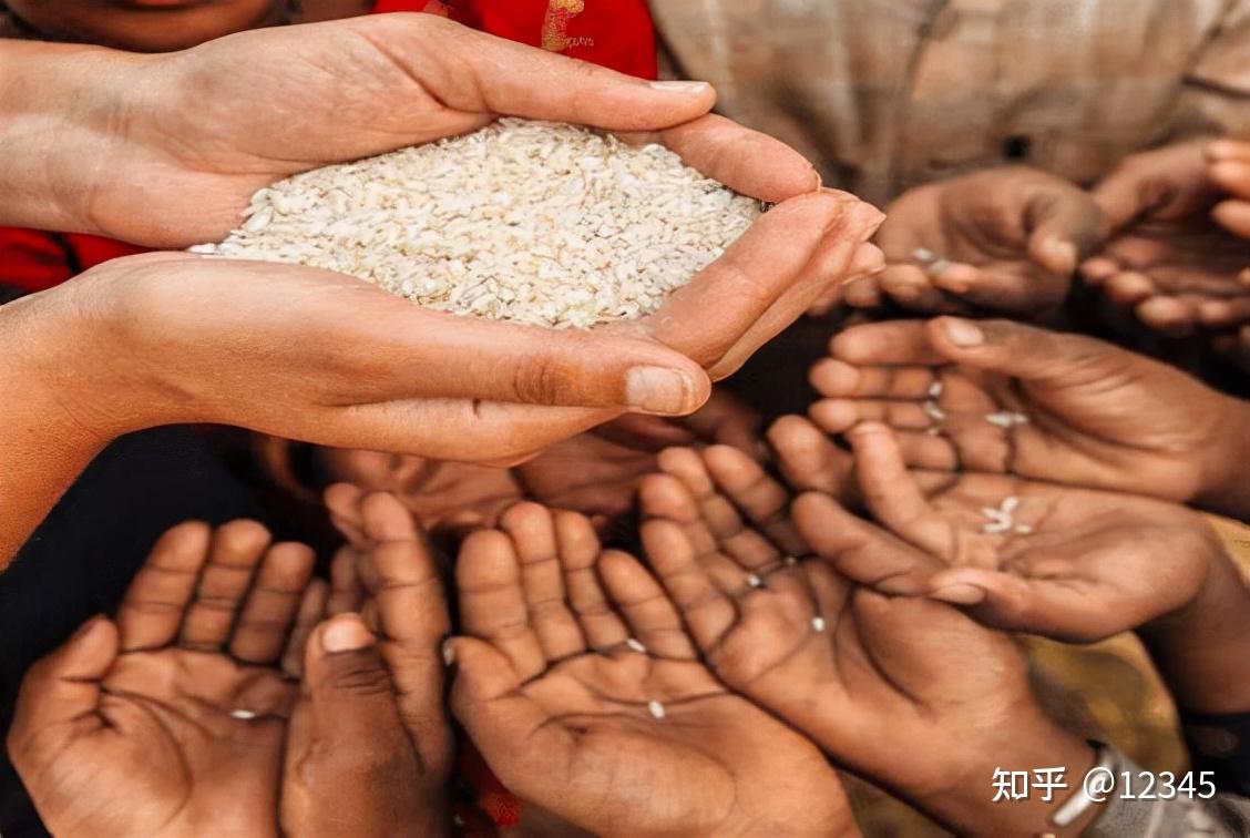 浪费理所应当被彻底杜绝,每个人都应该清楚,粮食来之不易,尊重每一份