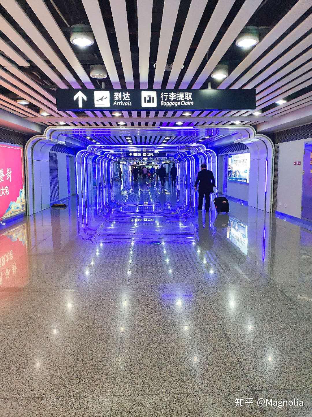 潮汕觅食记没有白粥和打冷的夜晚最难将息