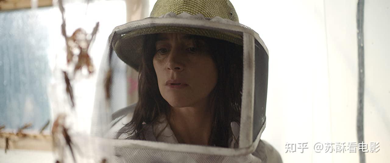 以我血肉喂养蝗虫丨血色蝗灾