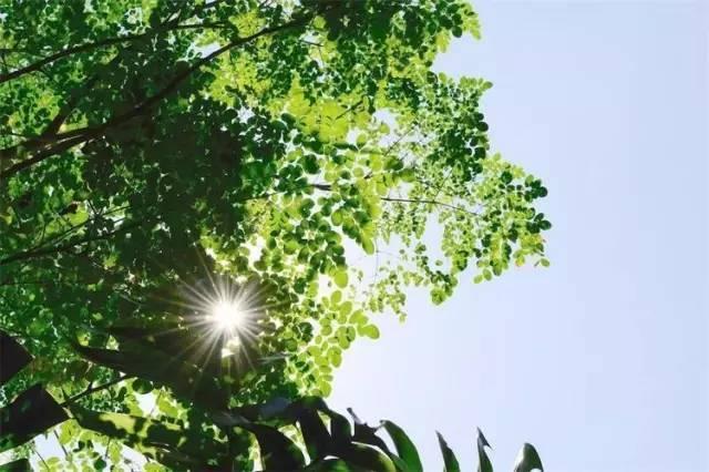 今日大暑冷在三九热在中伏