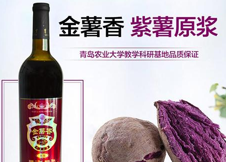 同合栈金薯香紫薯原浆酒天赏之物养出甜美好气色