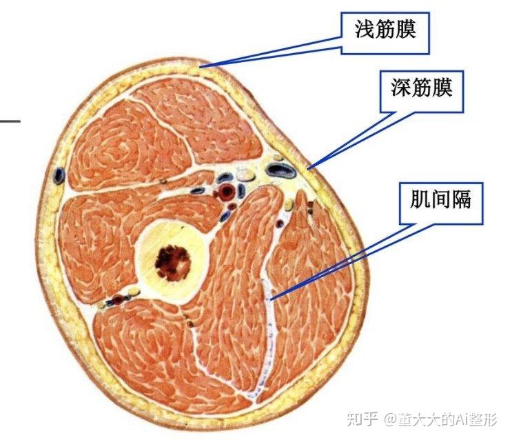 陈都灵的颜为什么残的这么快?