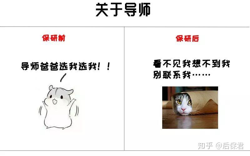 怎样规划保研后的大四生活?