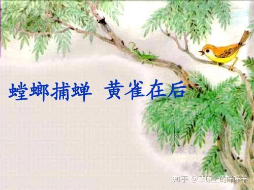 春夏秋 黄雀没有冬 读 黄雀记 知乎
