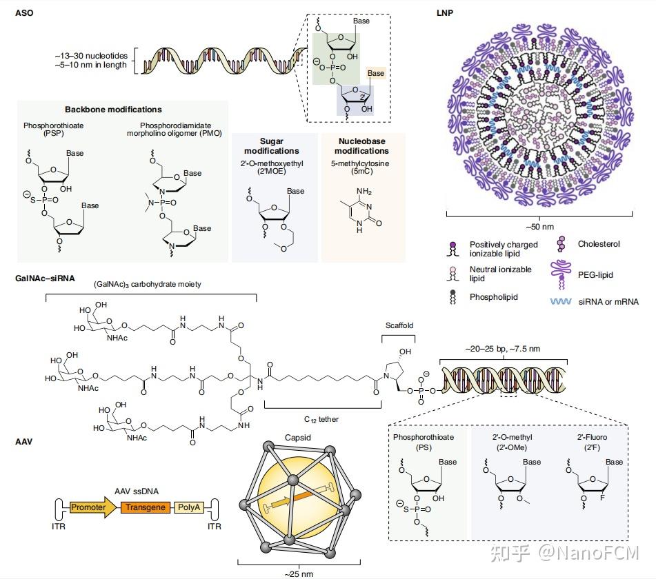 核酸疗法递送系统成关键