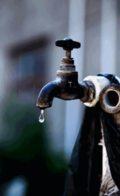 龙纹短鲷水硬度_短鲷困水_养鱼 困水