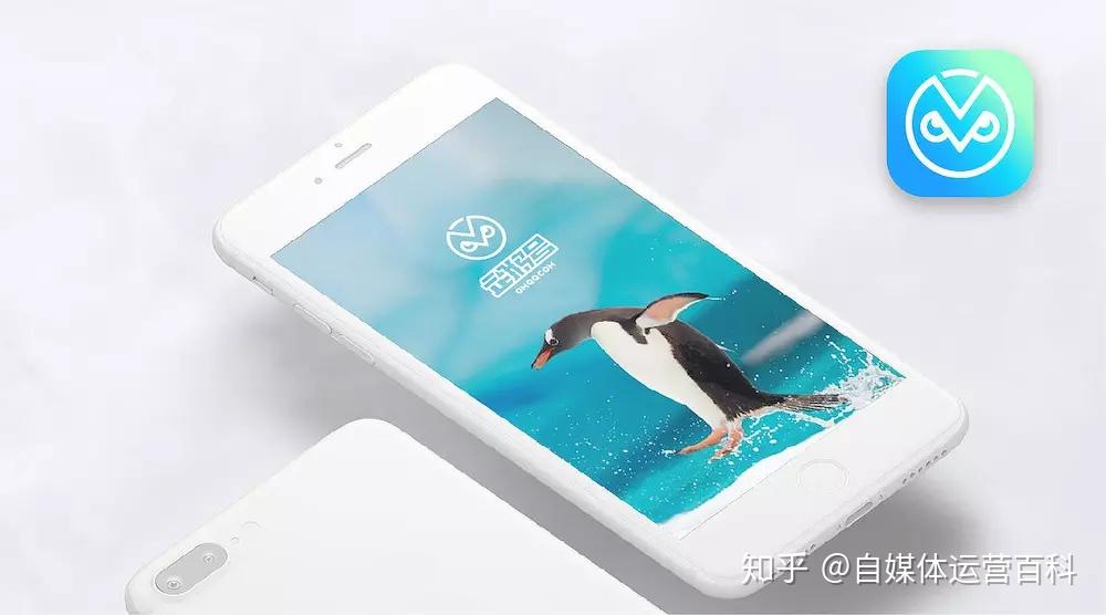 大鱼号企鹅号怎么运营运营技巧分享教你玩转自媒体