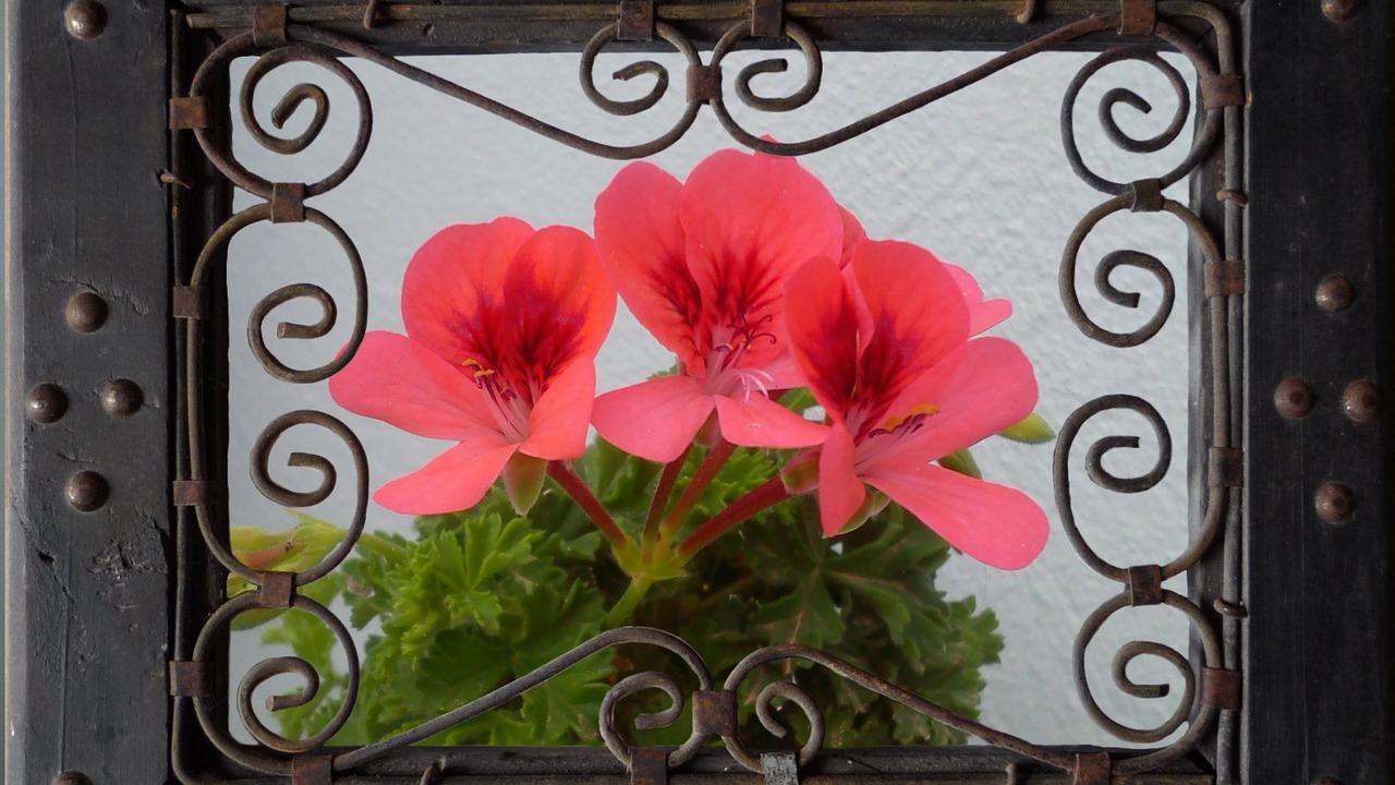 4. 购房预算调整