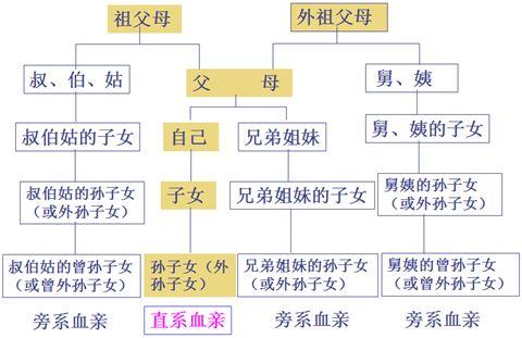 三代亲属关系图图片