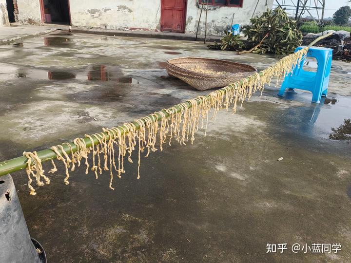 人，可以废物到什么程度？