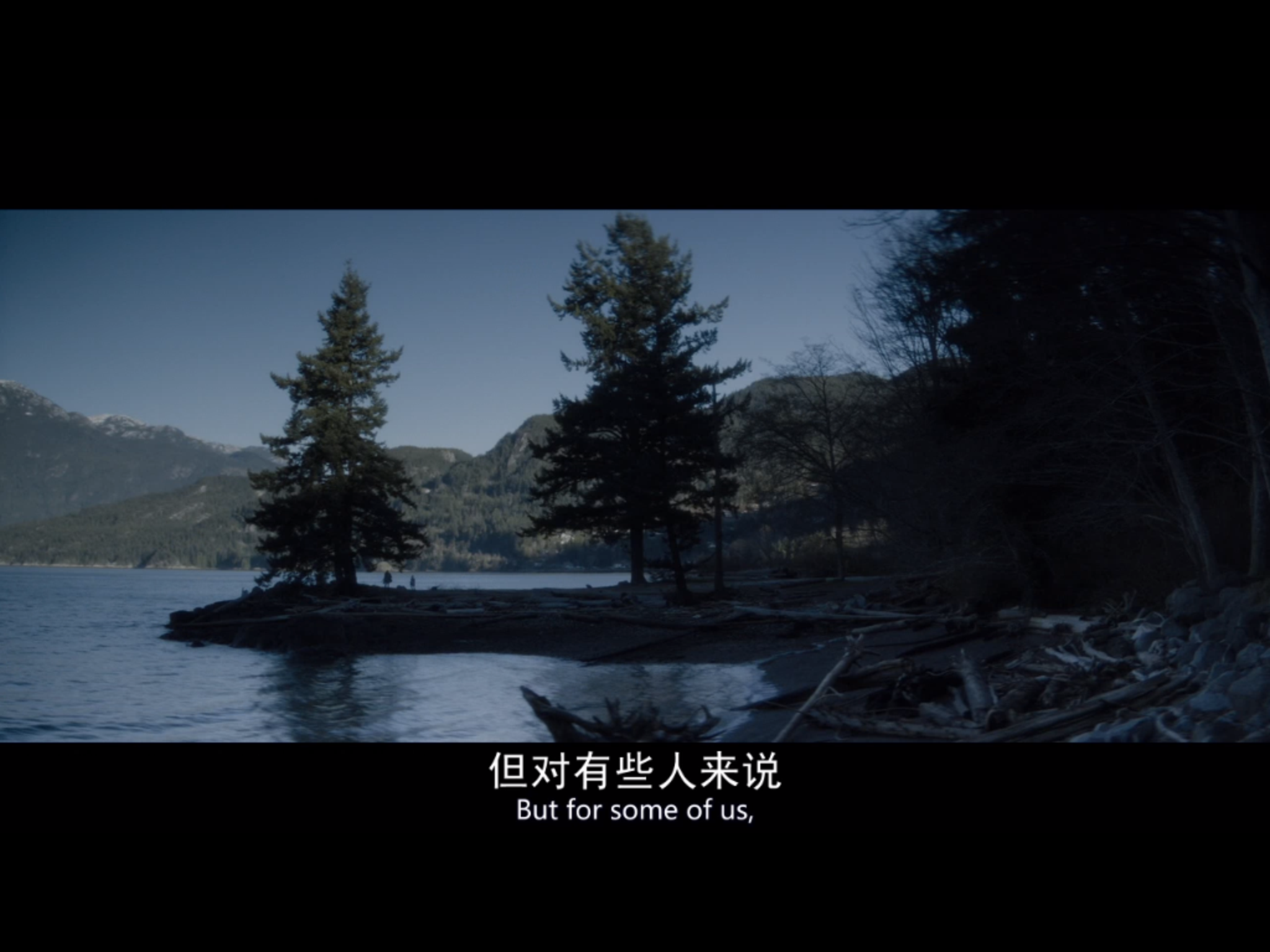 如何评价电影《忽然七日》?