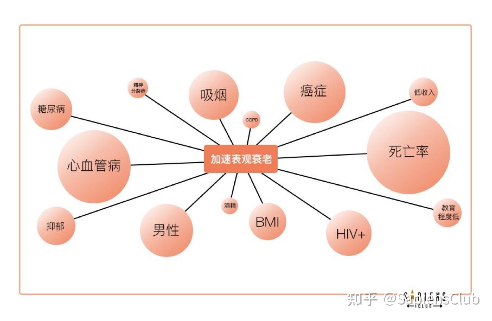 你的生理年龄和实际年龄匹配吗