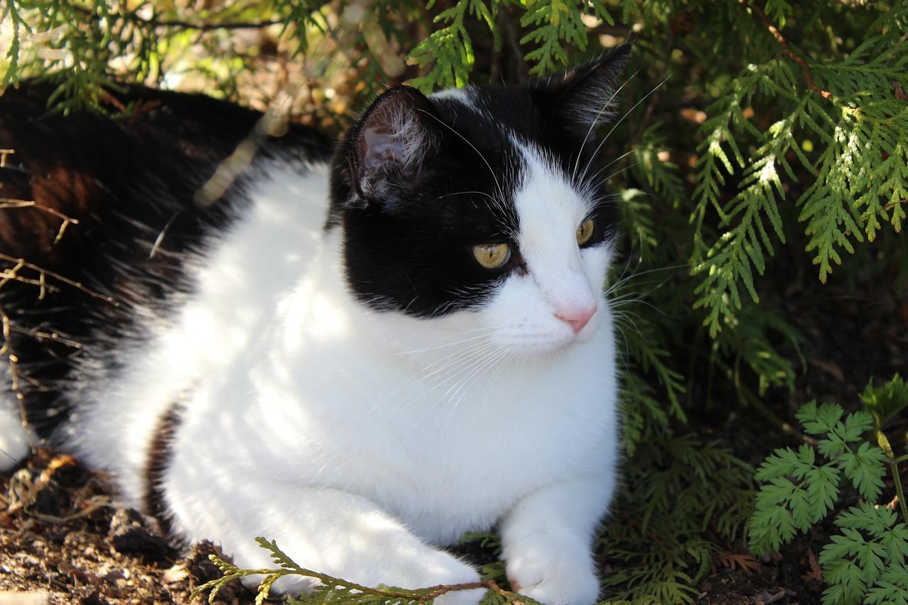 3. 老年适宜室温