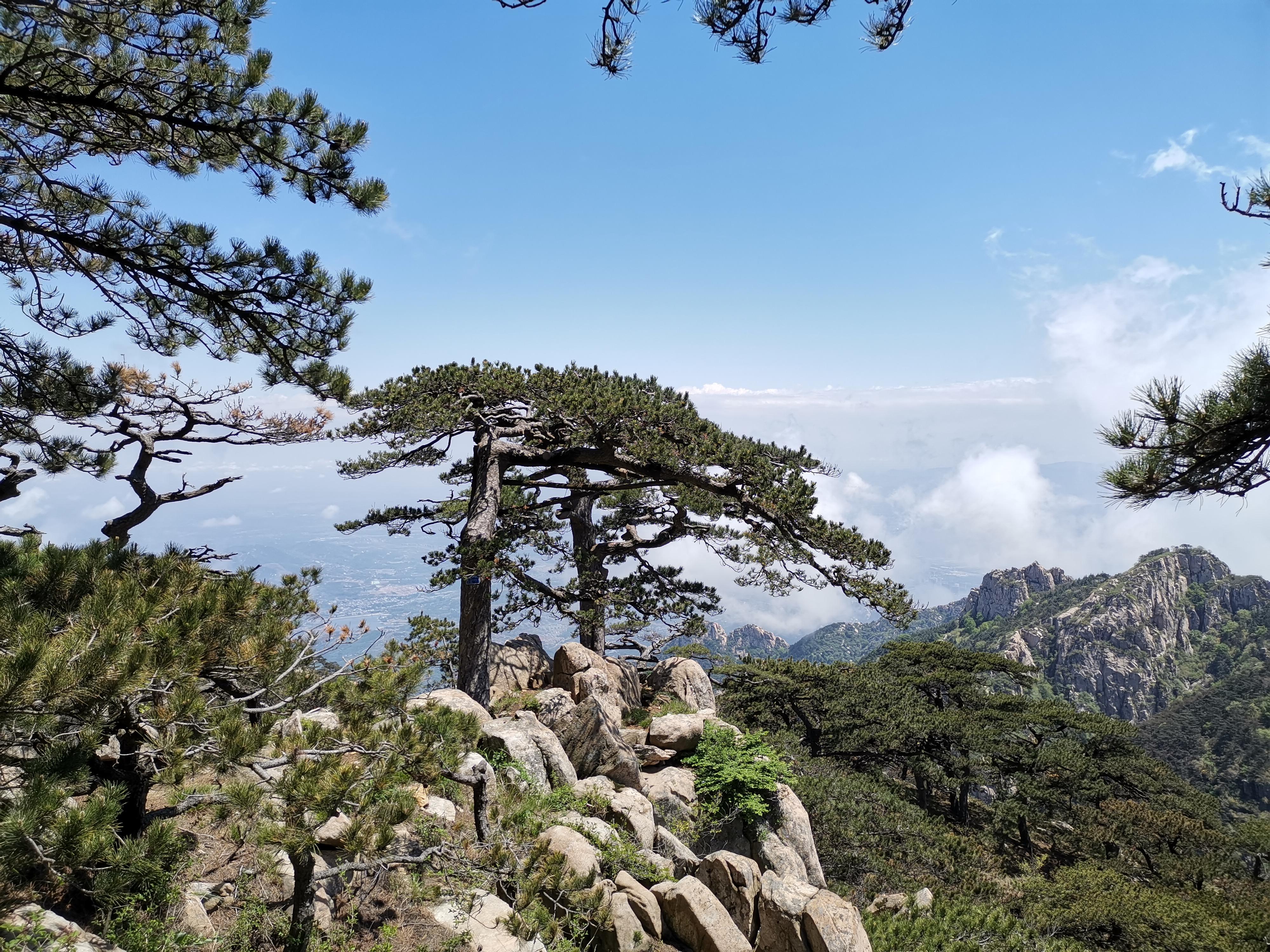 2020雨中登泰山~寻幽东御道