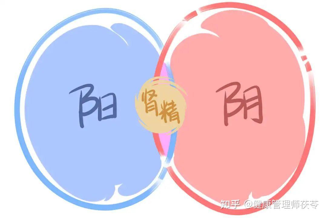 活血化瘀先除痰湿、行气滞、补气虚 - 知乎