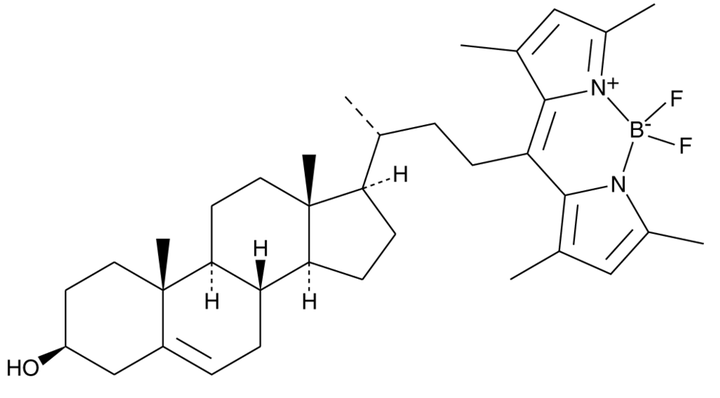 BODIPY-Cholesterol；CAS：878557-19-8 - 知乎