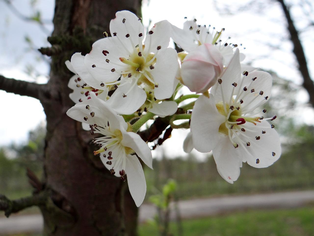 4. 播种方法详解