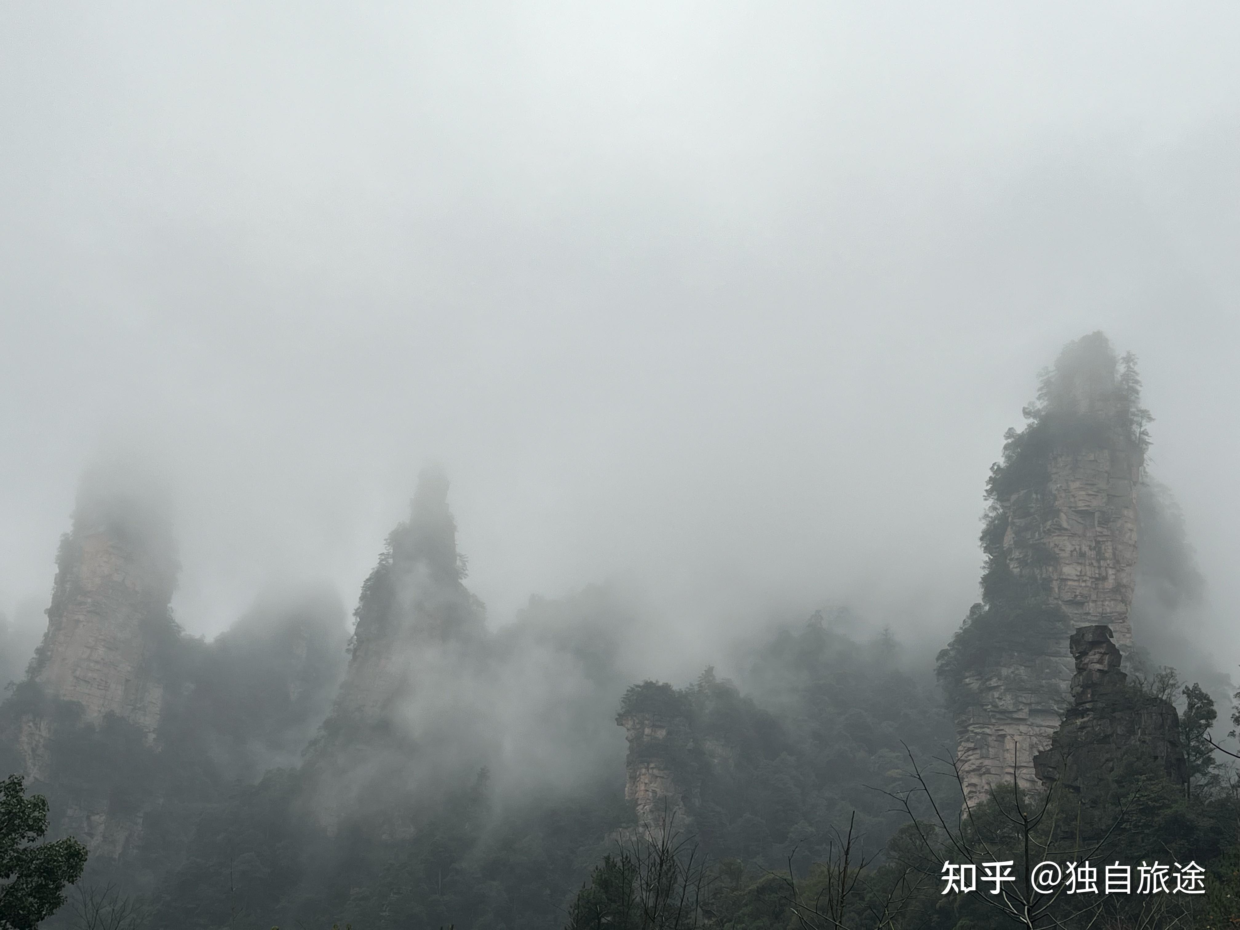 去張家界切記:看天氣預報前面五個旅行記錄都記錄在