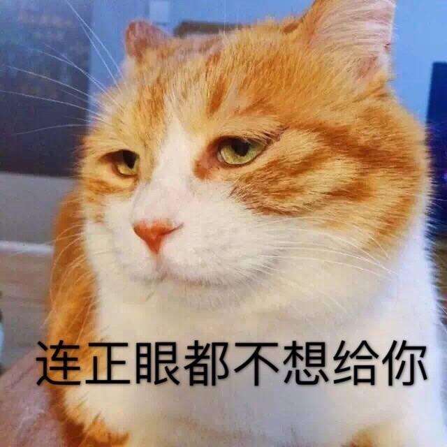 如何评价北邮人bt关闭,论坛关闭外网访问? - 知