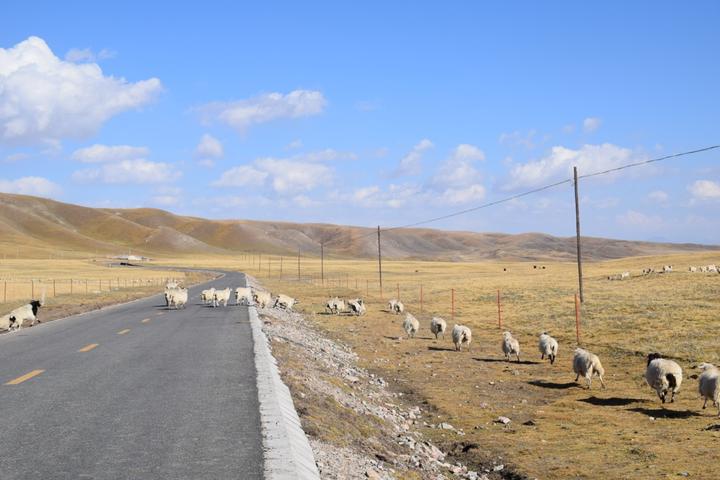西北有哪些不可错过的旅游美景? 5 v2 628833b0ecda9a6a06901f0f8631c546 720w