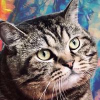 Zhihu profile picture for @lights