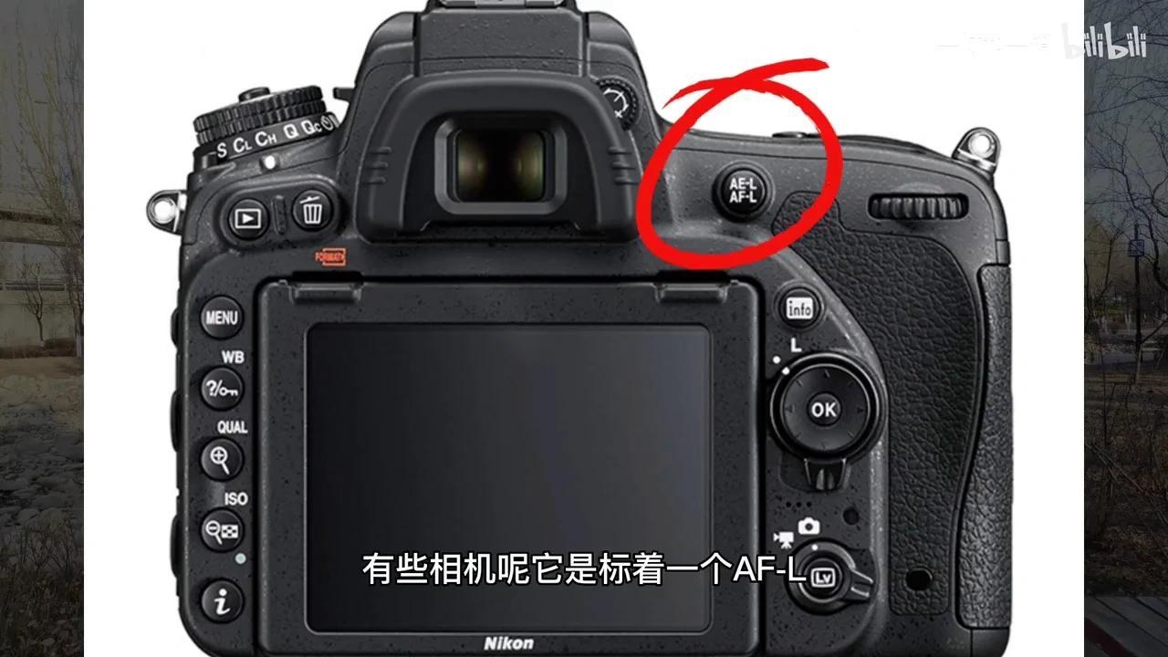 拍照怎么对焦锁定?先对焦再构图的拍摄方法,摄影新手学起来 - 知乎