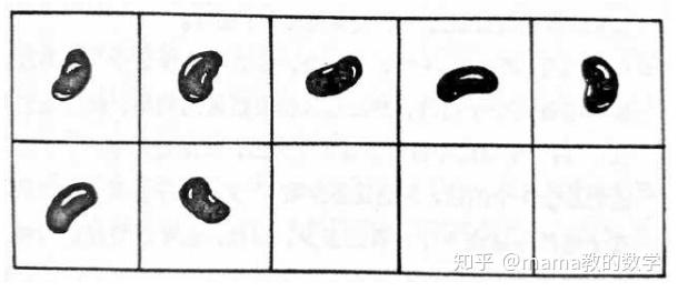 十格阵,数学学习中数感和运算能力的提高都离不开它 - 知乎