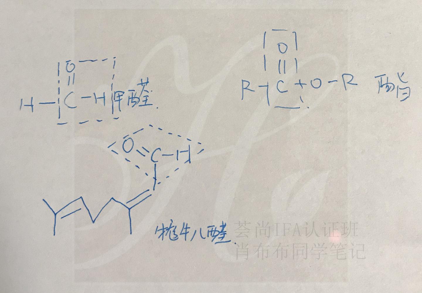 当理科生遇上芳香疗法 分析化学成分对应人体脉轮 知乎