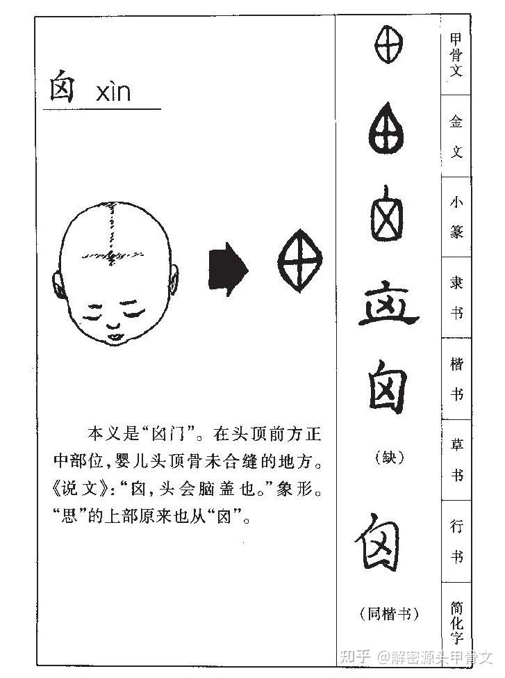 白字的甲骨文图片图片