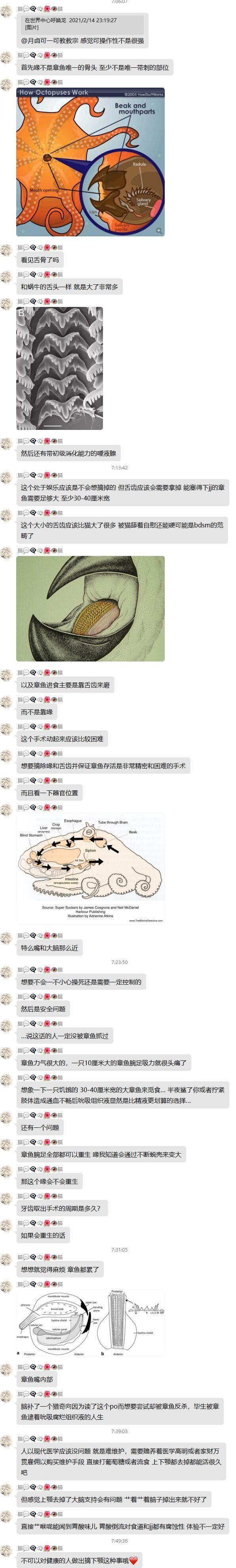 活章鱼的口器能直接剪掉吗?