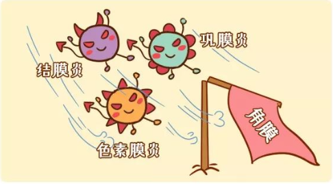 急性结膜炎(红眼病 巩膜炎,色素膜炎等邻近组织的眼部疾病,也容易