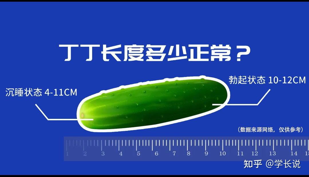 丁丁尺寸大比拼,你的属于哪个层次? - 知乎